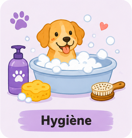 Illustration de la catégorie hygiène et soins pour chien